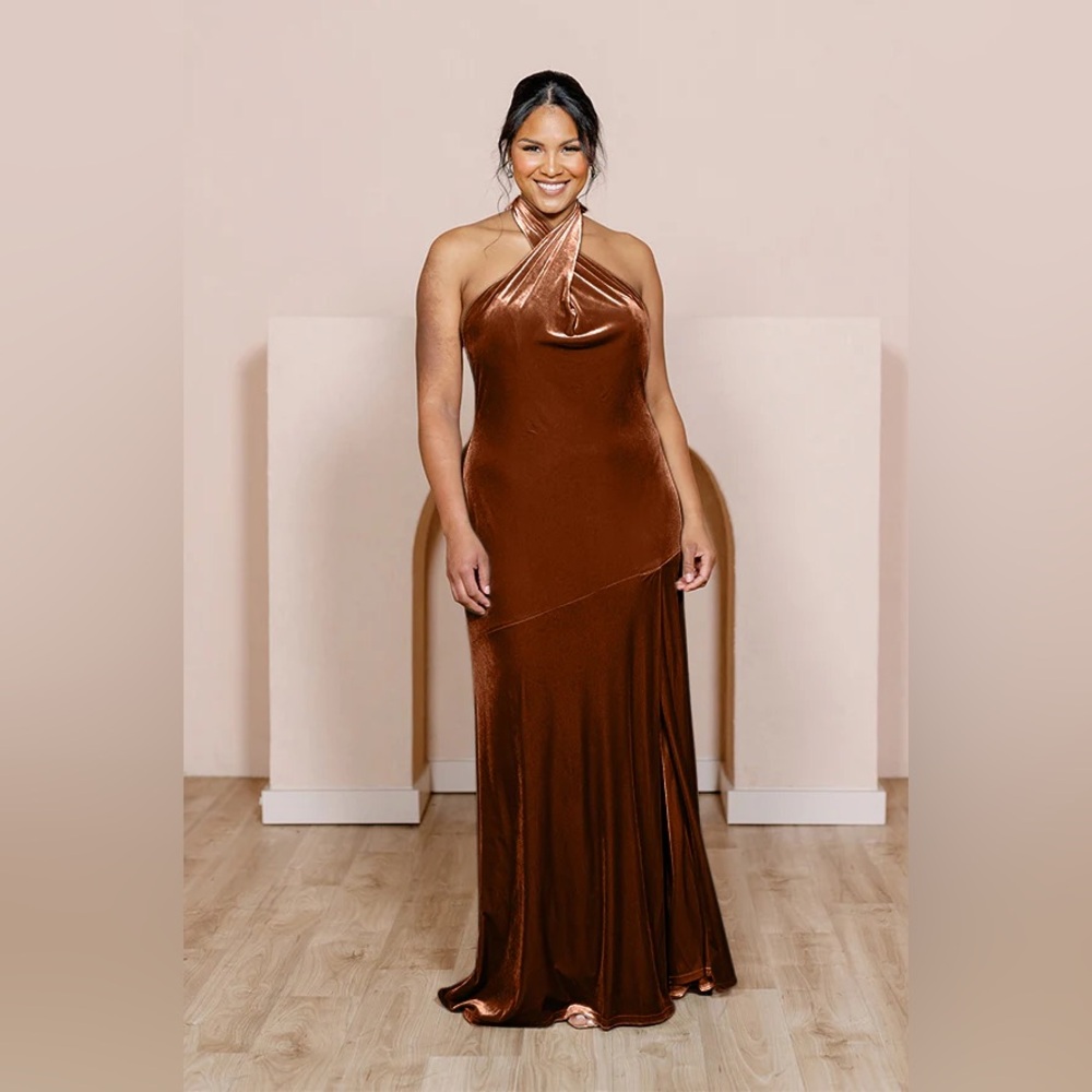 Revelry Athena Velvet Dress in Rust